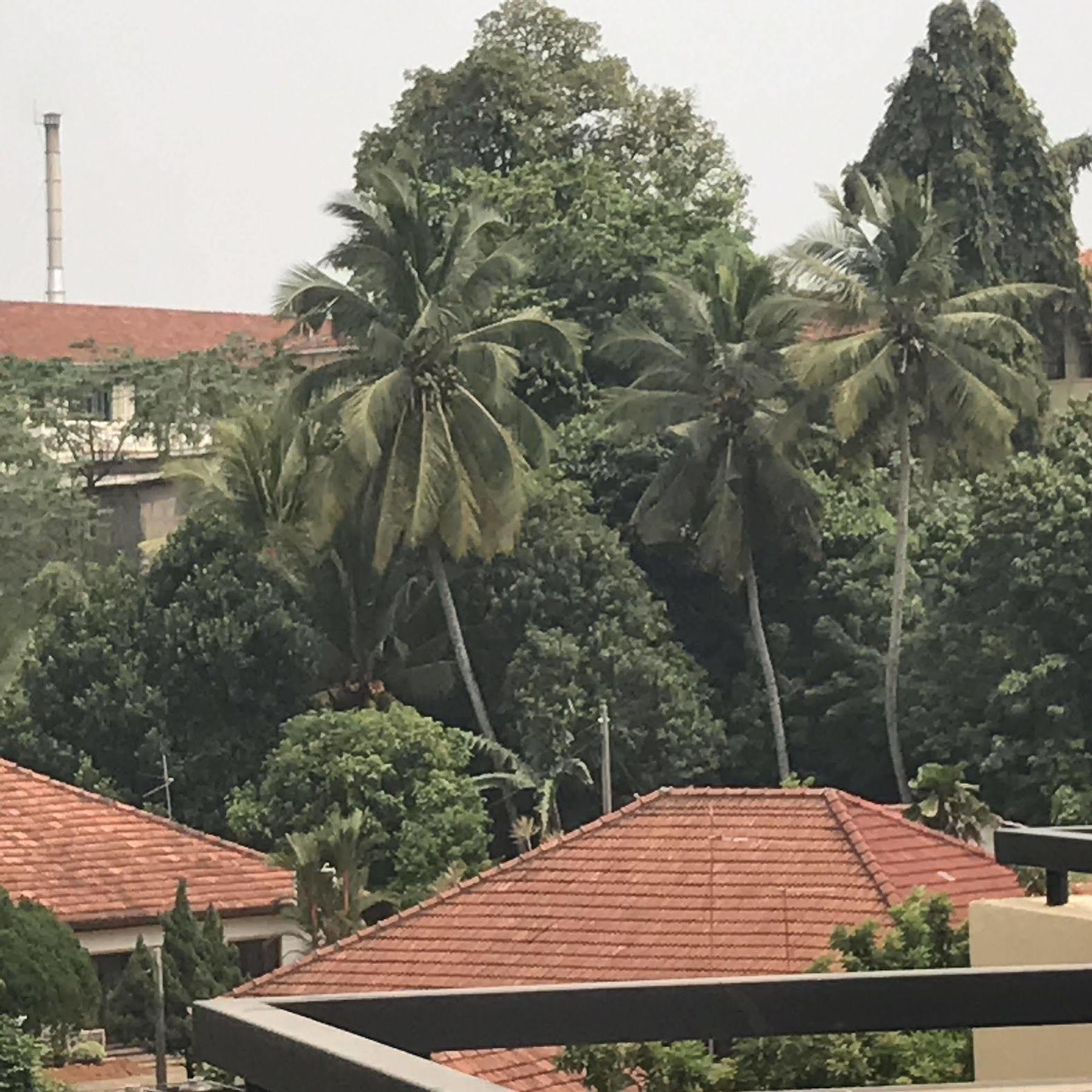 Saninro Hotel - Ragama Bagian luar foto